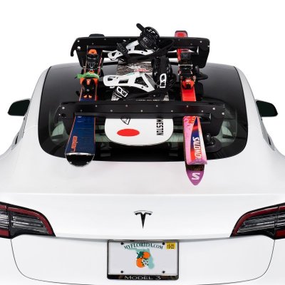 画像6: SeaSucker クラシック スキーラック