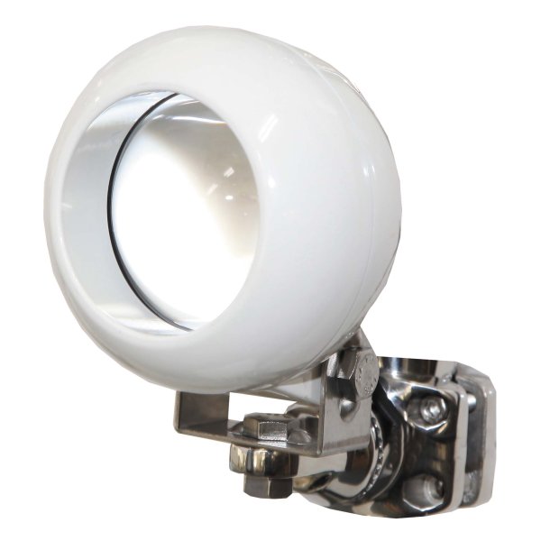 画像1: No.10255 LED-10W BG『売切り商品』 (1)