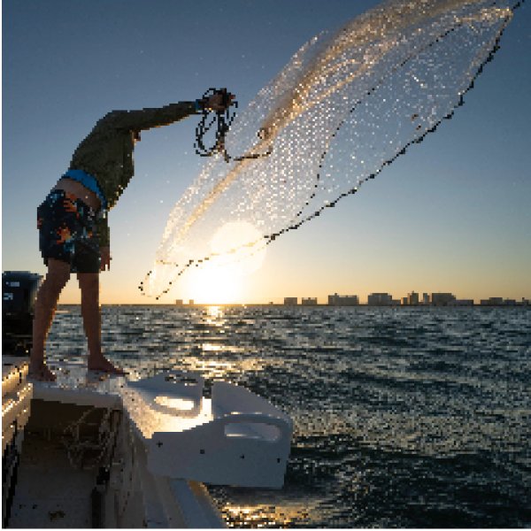 画像4: SeaSucker ラージテーブル L (4)