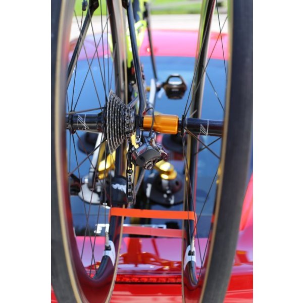 画像2: シーサッカー フォッグ SeaSucker (2)