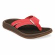 画像1: 【women's】SeaDek-Mateサンダル Deep Sea Coral　23.5cm・24.5cm・25.5cm：3サイズ (1)