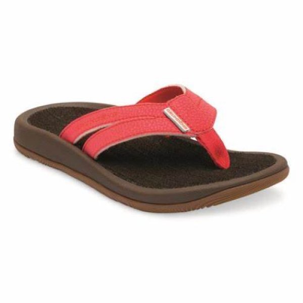 画像1: 【women's】SeaDek-Mateサンダル Deep Sea Coral　23.5cm・24.5cm・25.5cm：3サイズ (1)